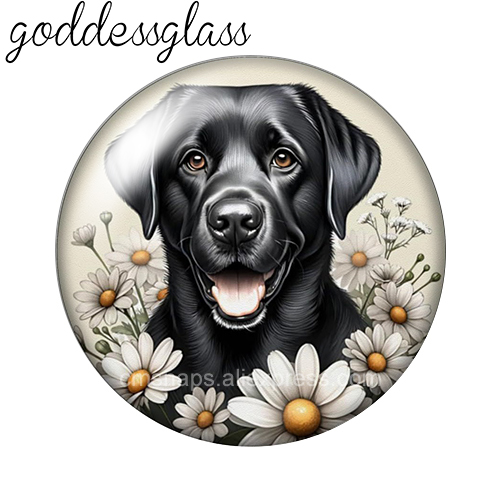Anjing-anjing Lucu di Antara B - Vase Decor ulasan dan harga